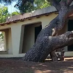 Resort Club