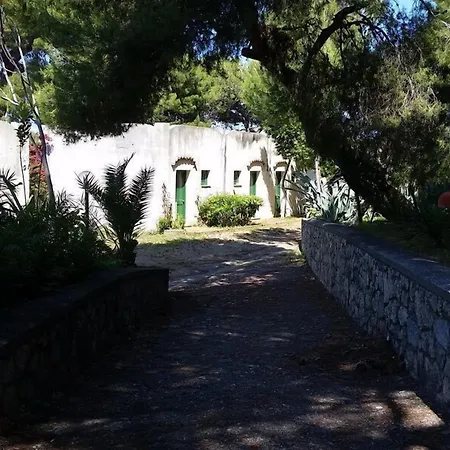 Resort Club