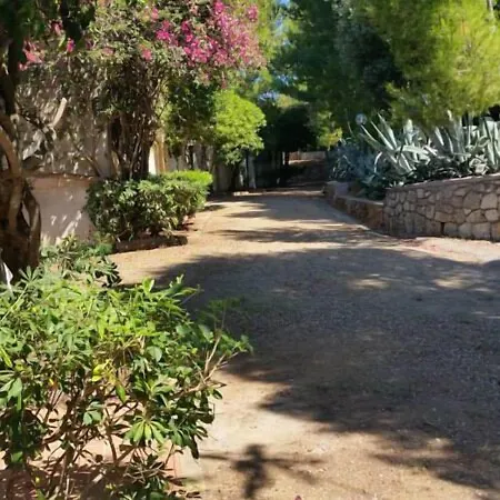 Resort Club
