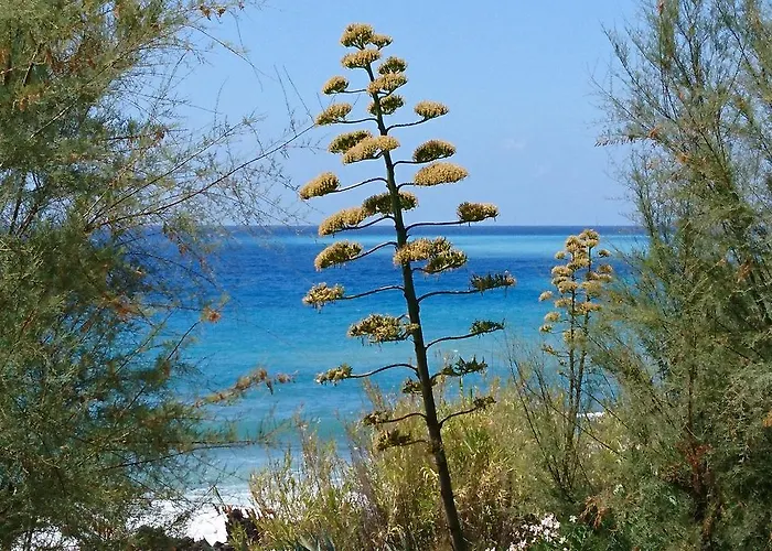 Club Üdülőközpont 3*